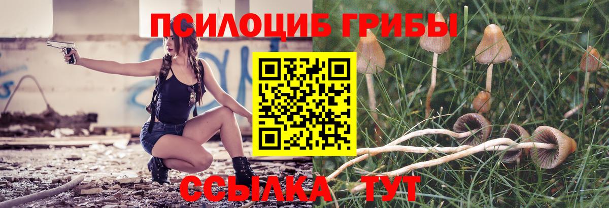 Ульяновск  Псилоцибиновые грибы Psilocybine cubensis  Вход с VPN 